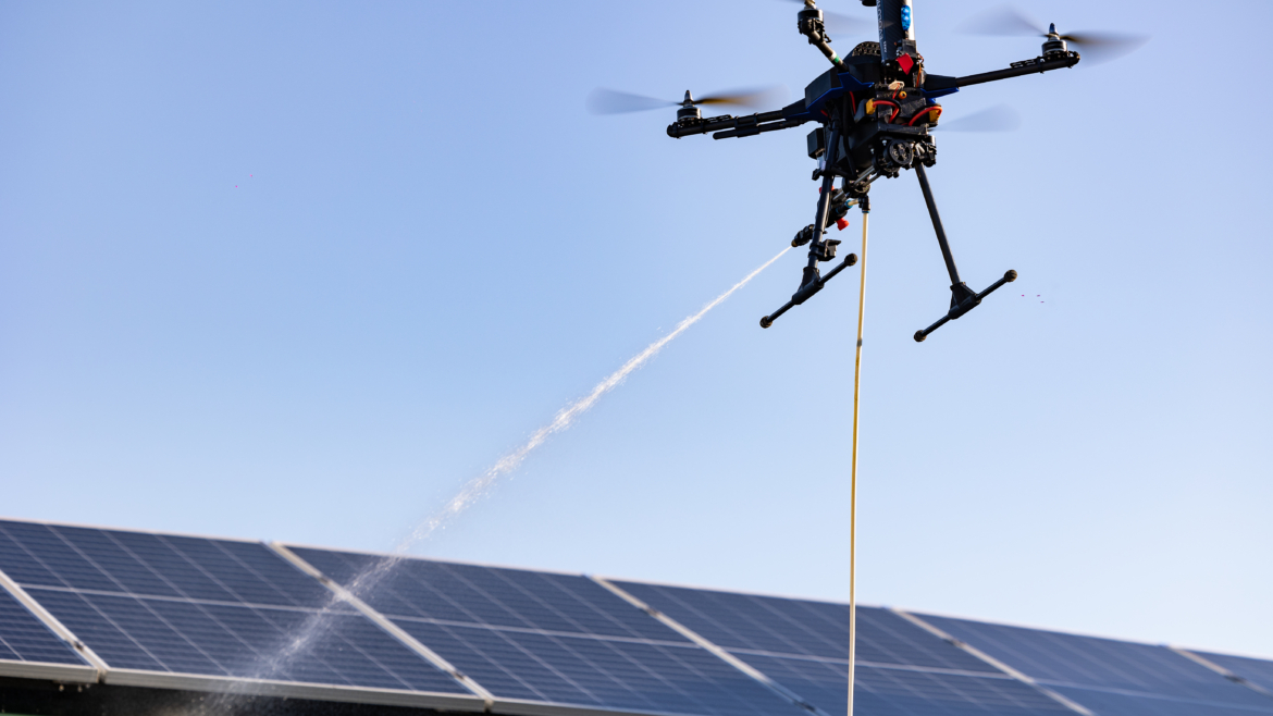 Nettoyage & traitements